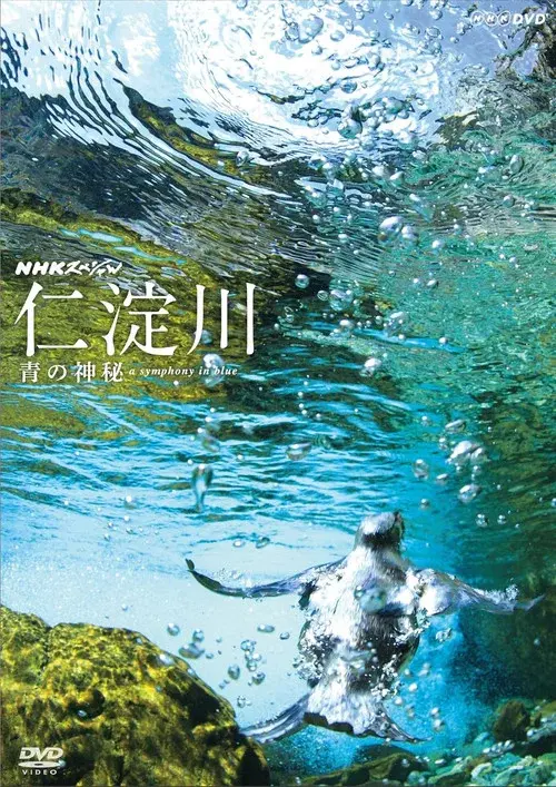 The Niyodo River: A Symphony in Blue