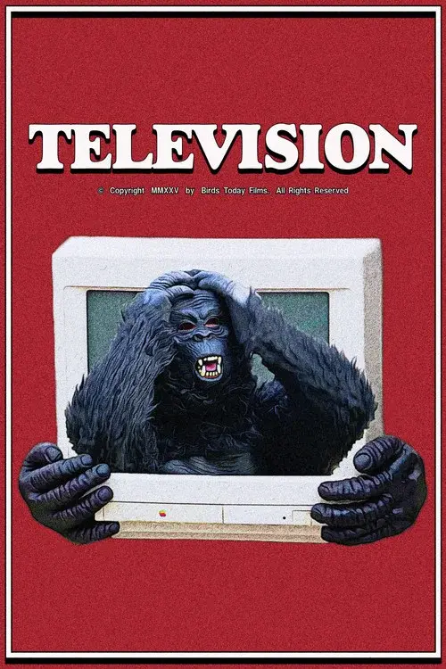 Television